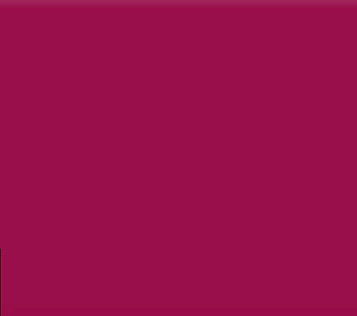 The Fetzer Face The Perfect Lip  Pencil